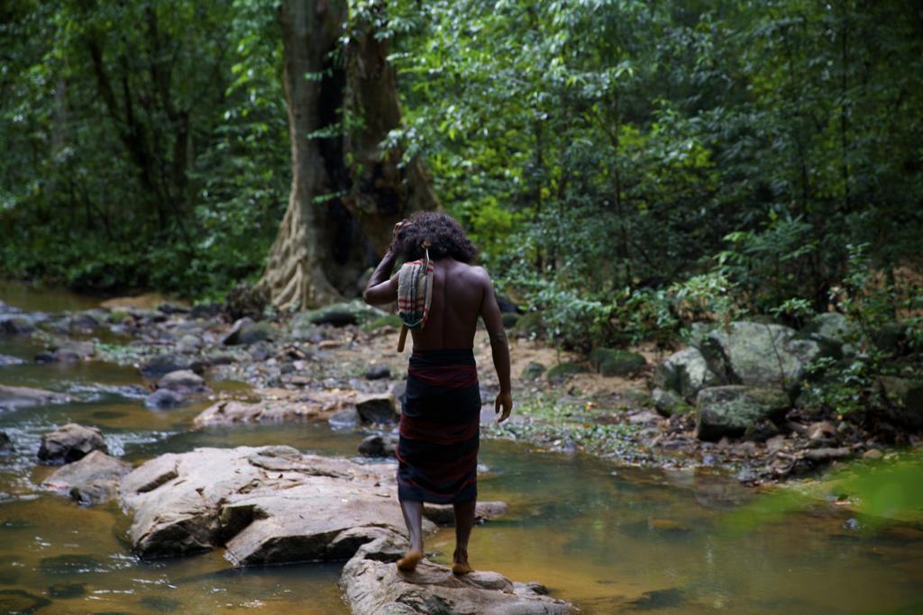 Gal Oya Lodge Galgamuwa  Rom bilde